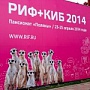 РИФ+КИБ 2014. Digital: от рекламы к маркетингу. Кейсы РИФ+КИБ 2014. Digital: от рекламы к маркетингу. Кейсы